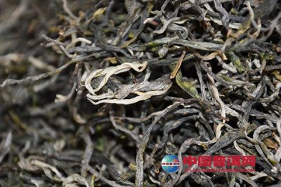 普洱茶梗对茶叶品质作用