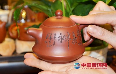 白茶的紫砂壶搭配