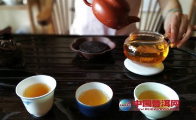 中国茶界批判｜为什么普洱茶总