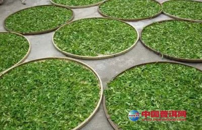 上海的茶市汇聚了各产茶地的多