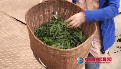 ں쳾 ׷ѰеĲ