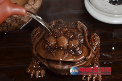 ڵȵ