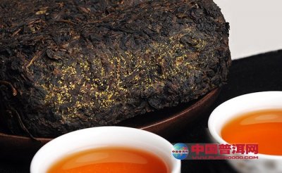 湖南省黑茶商会第一次会员大会