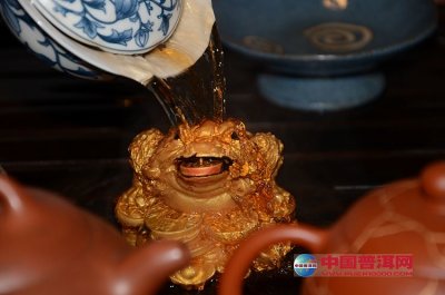 ʲôĲó裿