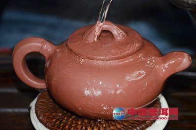一壶侍一茶？紫砂壶会串味？茶