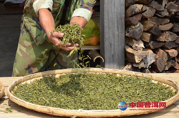 普洱茶