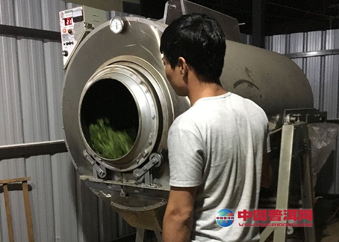 普洱茶