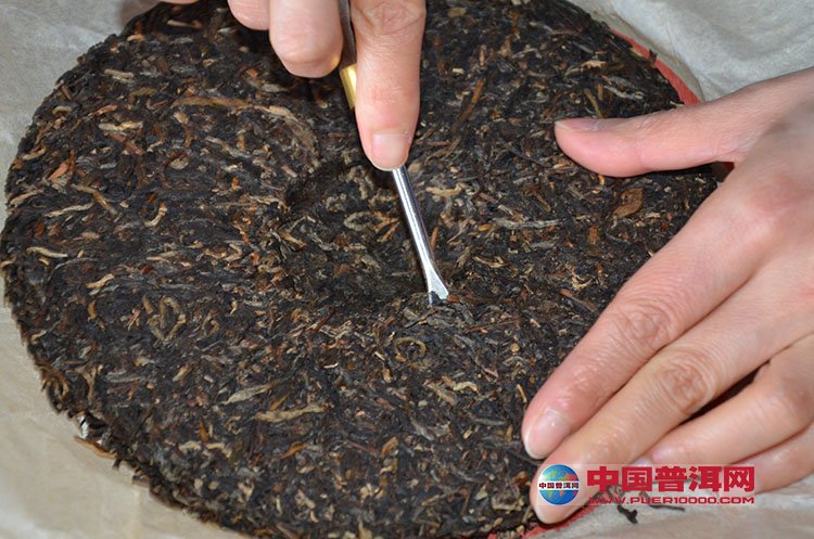 普洱茶