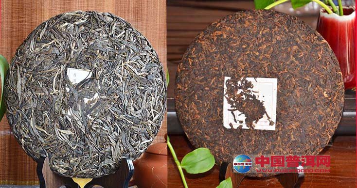 普洱茶