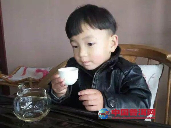 普洱茶