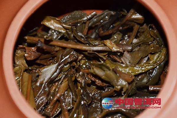 普洱茶