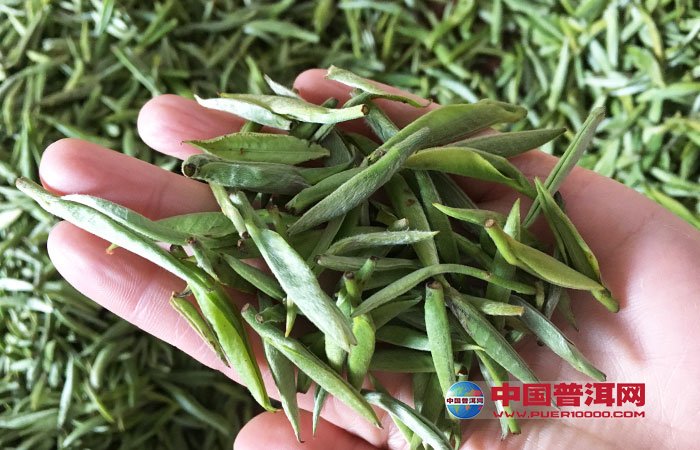 <u><a href='http://www.puer10000.com/puerzhishi/32854.html' target='_blank'>普洱<u><a href='http://www.puer10000.com/puerzhishi/100997.html' target='_blank'>茶</a></u></a></u>