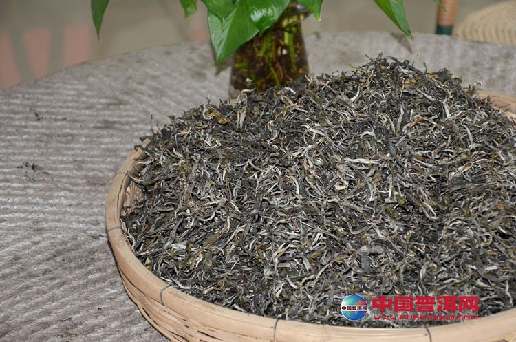 普洱茶