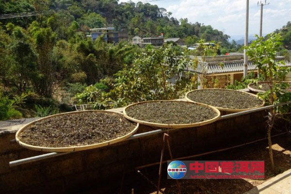 普洱茶