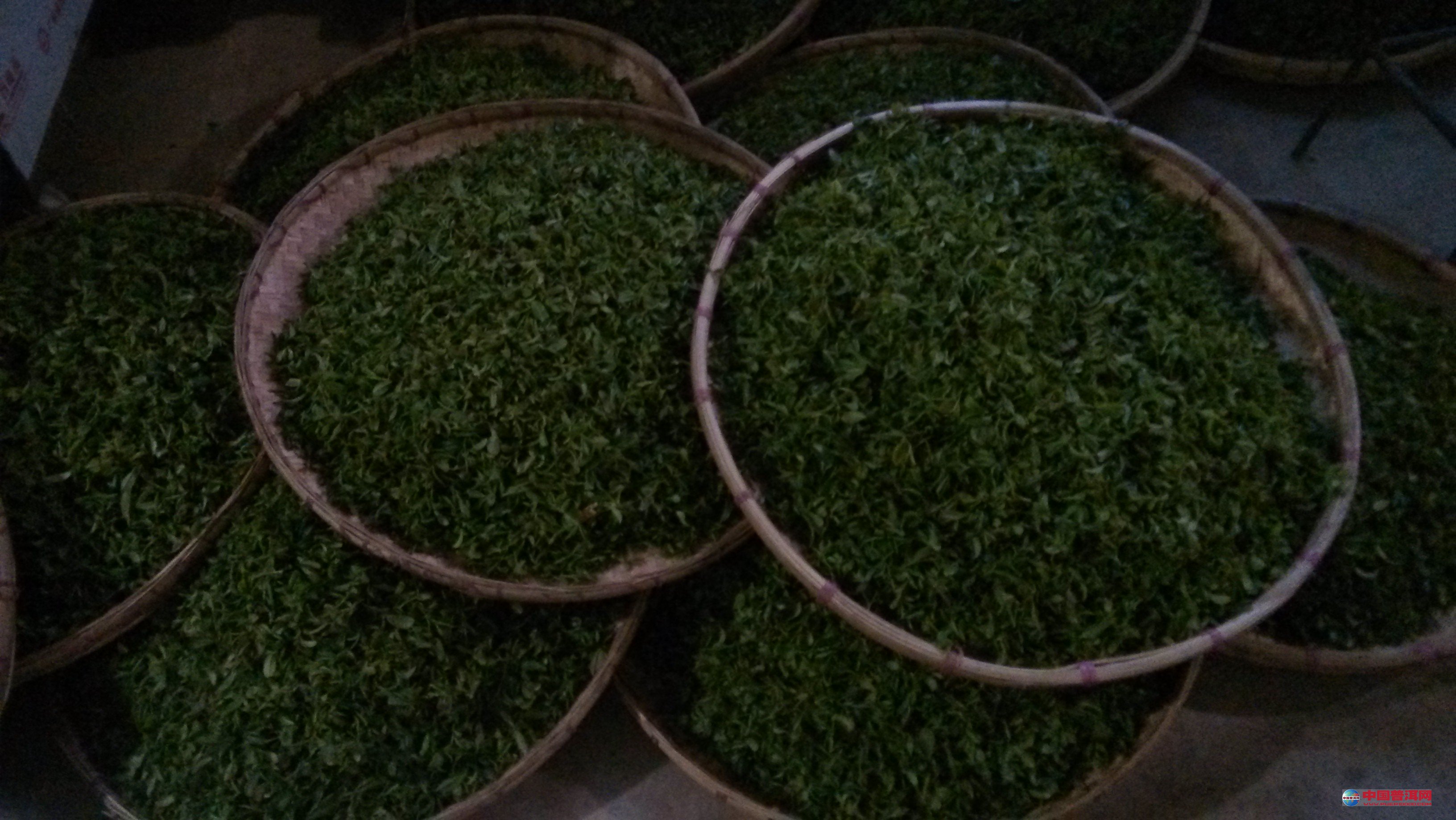 普洱茶