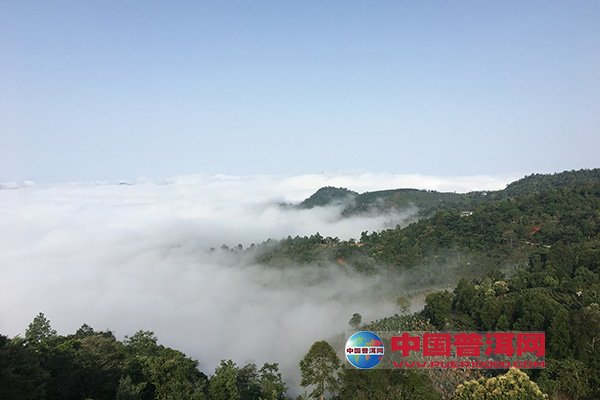 <u><a href='http://www.puer10000.com/puerzhishi/32854.html' target='_blank'>ն<u><a href='http://www.puer10000.com/puerzhishi/100997.html' target='_blank'></a></u></a></u>