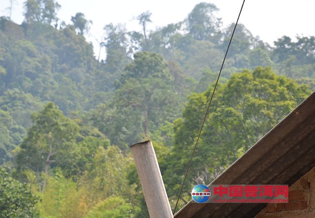 <u><a href='http://www.puer10000.com/puerzhishi/32854.html' target='_blank'>ն<u><a href='http://www.puer10000.com/puerzhishi/100997.html' target='_blank'></a></u></a></u>