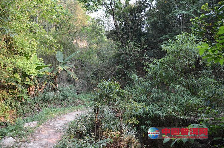 <u><a href='http://www.puer10000.com/puerzhishi/32854.html' target='_blank'>普洱<u><a href='http://www.puer10000.com/puerzhishi/100997.html' target='_blank'>茶</a></u></a></u>