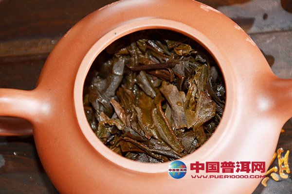 <u><a href='http://www.puer10000.com/puerzhishi/32854.html' target='_blank'>ն<u><a href='http://www.puer10000.com/puerzhishi/100997.html' target='_blank'></a></u></a></u>