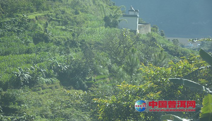 <u><a href='http://www.puer10000.com/puerzhishi/32854.html' target='_blank'>普洱<u><a href='http://www.puer10000.com/puerzhishi/100997.html' target='_blank'>茶</a></u></a></u>